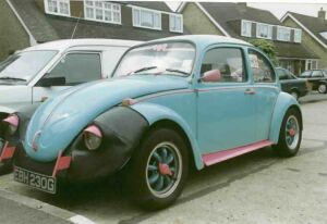 Beetle submitted by Lee & Joanne