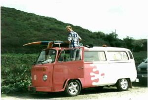 Beetle submitted by Lee & Joanne